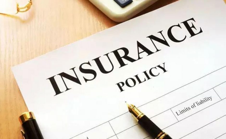 What Are Pure Term Insurance Plans?